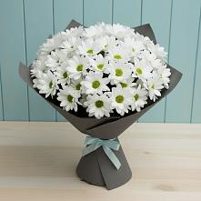 Букет цветов из:  Хризантемы в Добринке