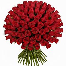 Букет Красные розы Чери Лав в Добринке