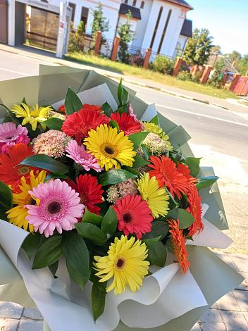 Букет цветов из: Герберы в Добринке